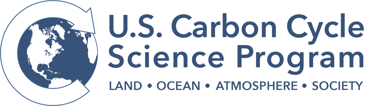 US Carbon Program Logo (regular)