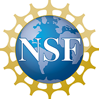 Blue, gold and white NSF logo