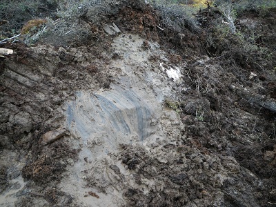 permafrost ice carbon undersoil 